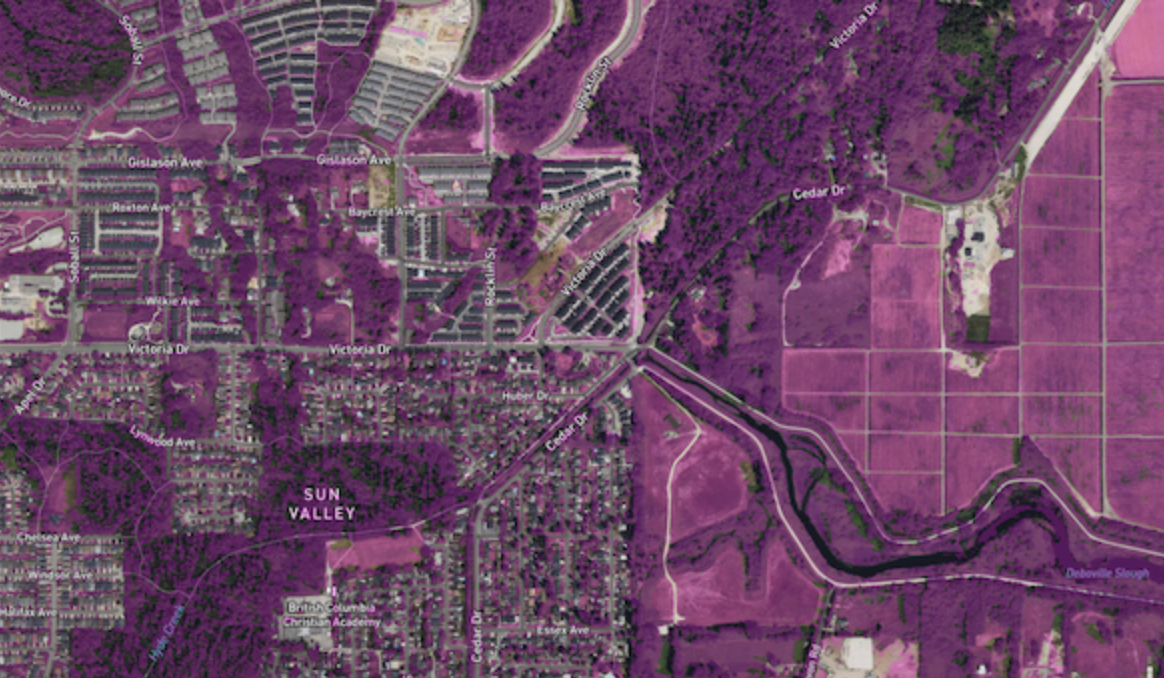 Vegetation segmentation with opacity